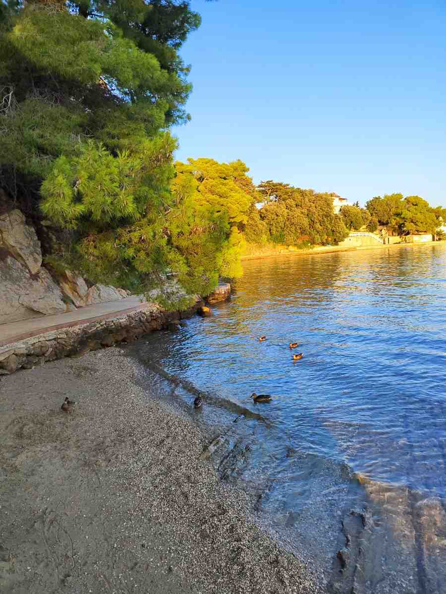 Plaža Kod Kamena Lopar