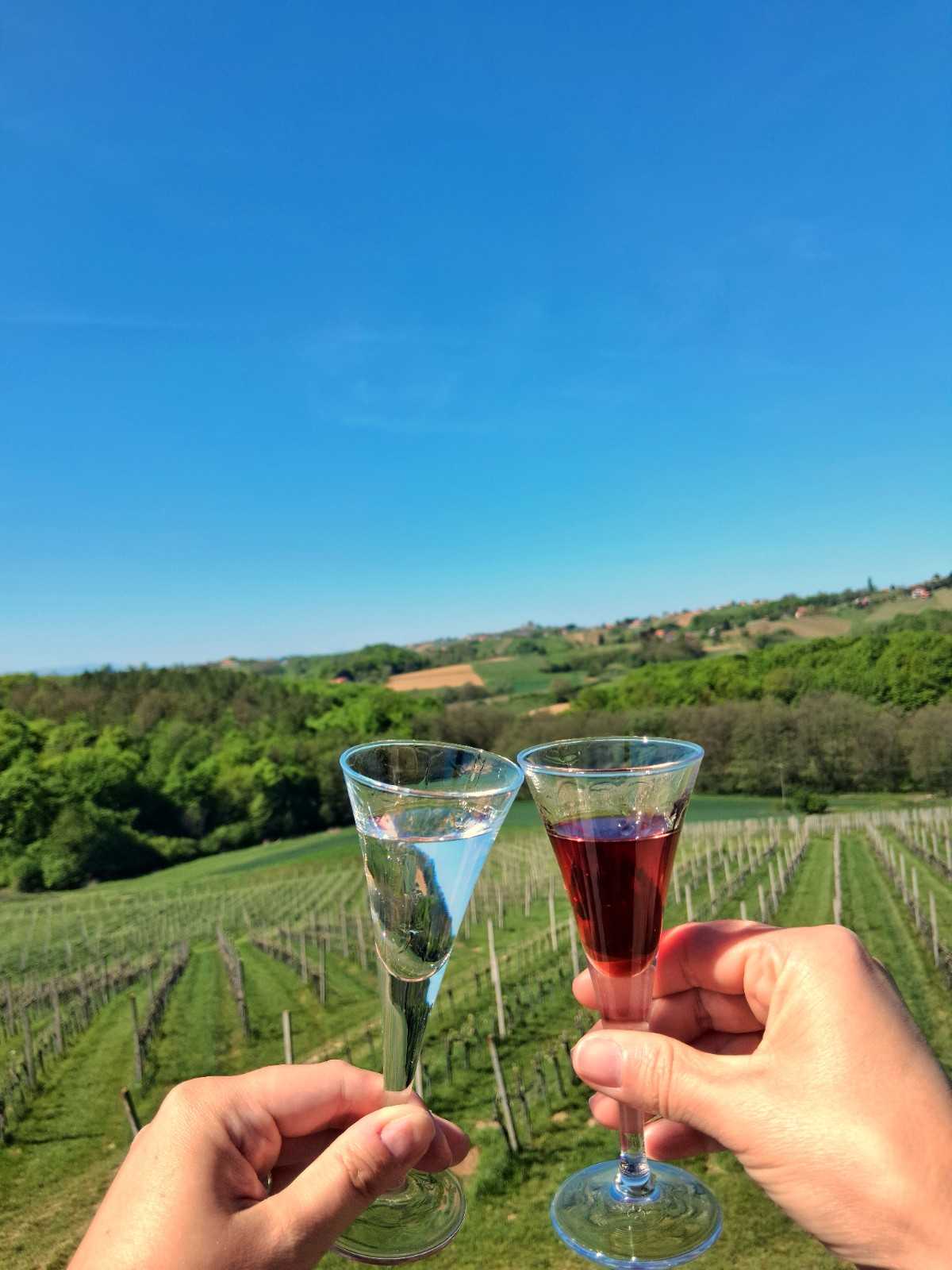 Dobrodošlica u vinariju Jakopić